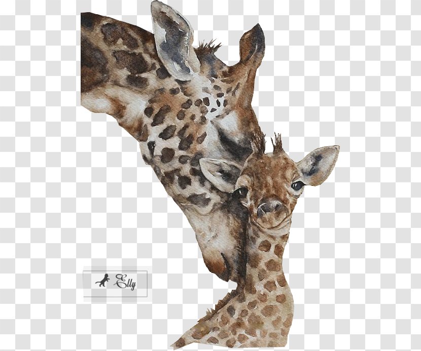 Watercolor Painting Artist Trading Cards Printmaking - Mammal - Giraffes Transparent PNG