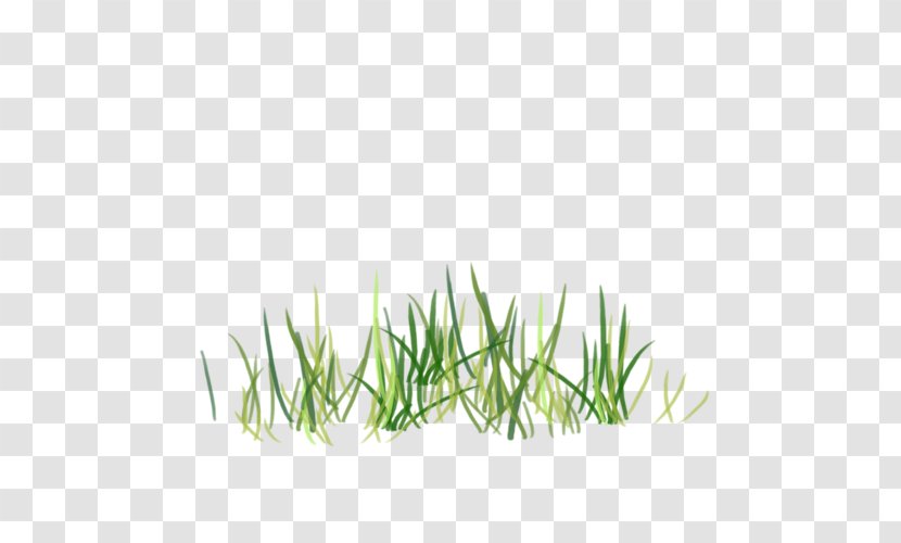 Green Grass Clip Art - Plant Stem Transparent PNG