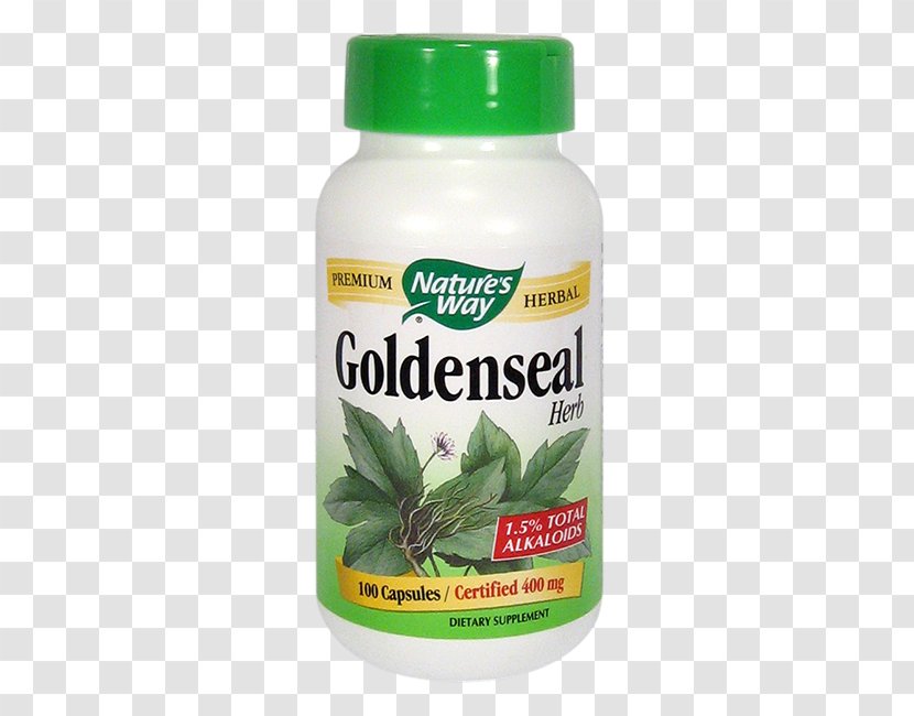 Dietary Supplement Greater Burdock Goldenseal Herb Capsule Transparent PNG