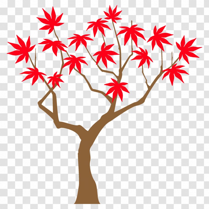 Autumn Maple Tree - Flower Plant Stem Transparent PNG