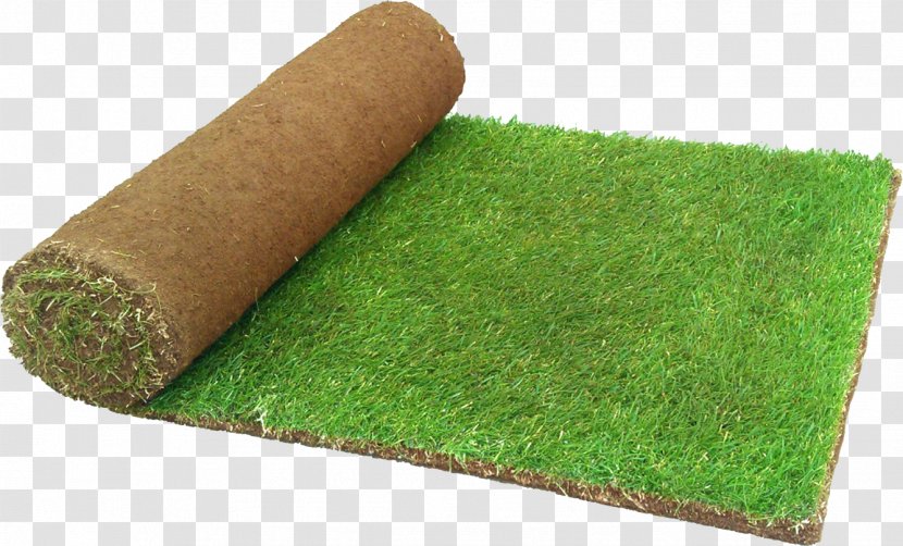 Artificial Turf Lawn Landscape Design Garden Grass - Ornamental Plant - Floor Transparent PNG