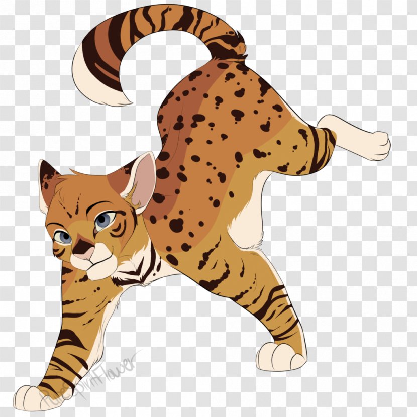 Warriors Cat Tiger Dog Drawing - Tail - Big Cats Transparent PNG