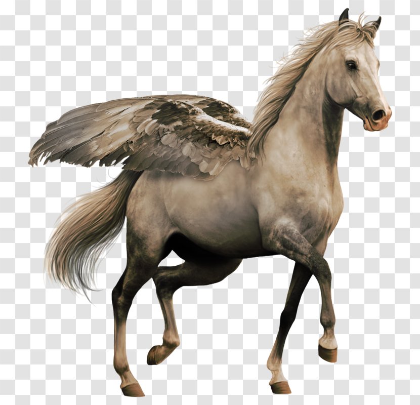 Horse DeviantArt Clip Art - Roan - Pegasus Winged Transparent PNG