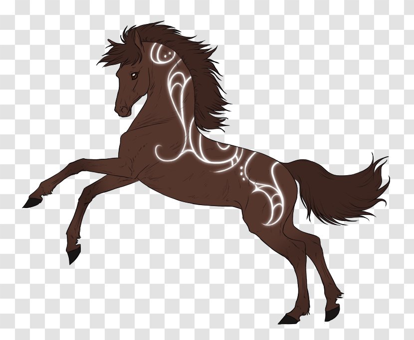 Mane Foal Pony Mustang Stallion - Organism Transparent PNG