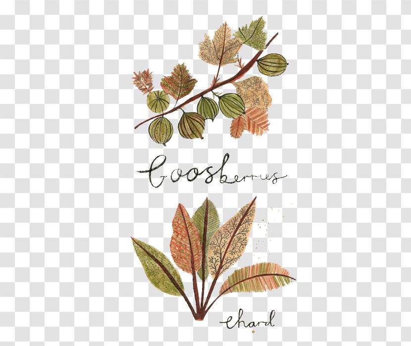 Drawing Art Food Painting Illustration - Flora - Hand-painted Vintage Foliage Pattern Transparent PNG