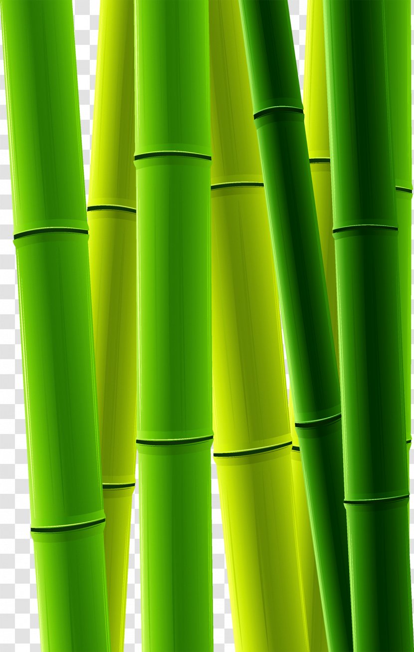 Bamboo Bamboe Clip Art - Grass - Green Transparent PNG