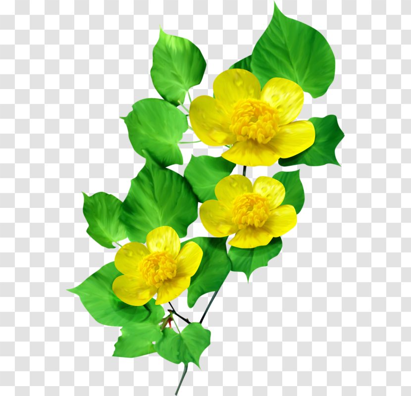 Flower Petal Animaatio - Rose Transparent PNG