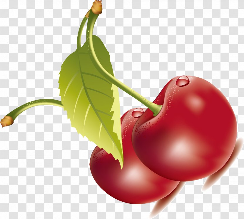 Cherry Berry Food - Health - Red Healthy Fruit Vector Transparent PNG