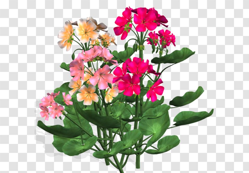 Cut Flowers Floral Design Flower Bouquet Nosegay - Petal - Bloemen Transparent PNG