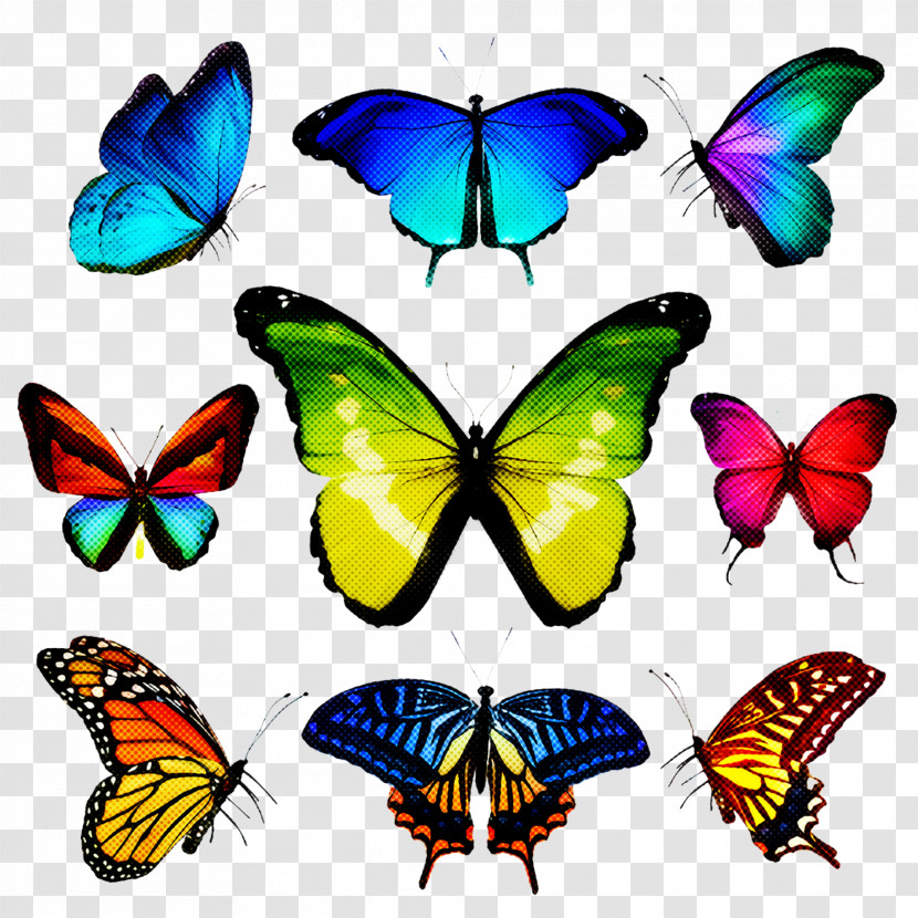 Butterfly Moths And Butterflies Insect Pollinator Brush-footed Butterfly Transparent PNG