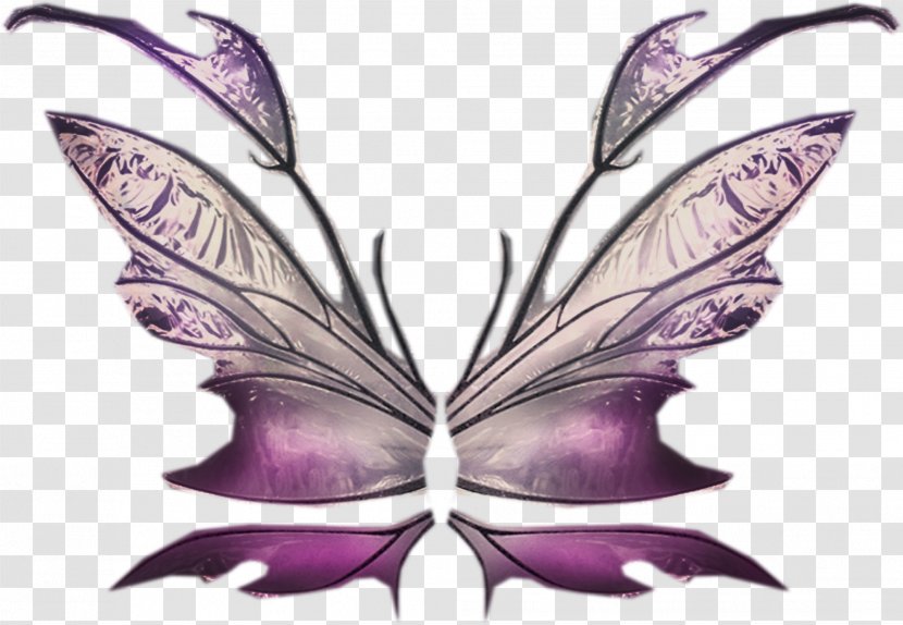Brush-footed Butterflies Butterfly Fairy Moth Illustration - Plant Transparent PNG