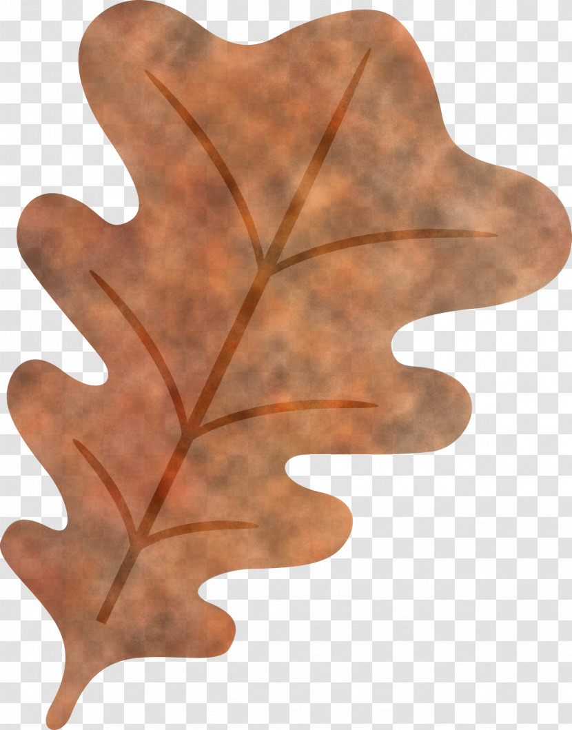 Oak Leaf Transparent PNG