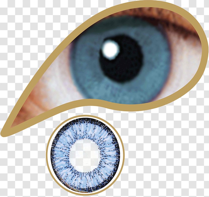 Contact Lenses Green Blue Color - Yellow - Eye Transparent PNG