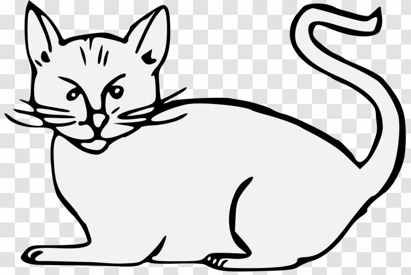 Wildcat Kitten Whiskers Tabby Cat - Carnivora - Whisk Transparent PNG