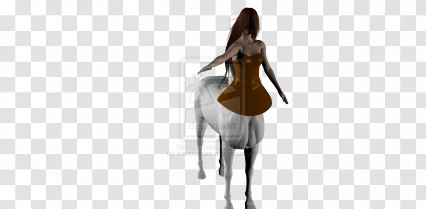 Horse Shoulder Animated Cartoon Transparent PNG