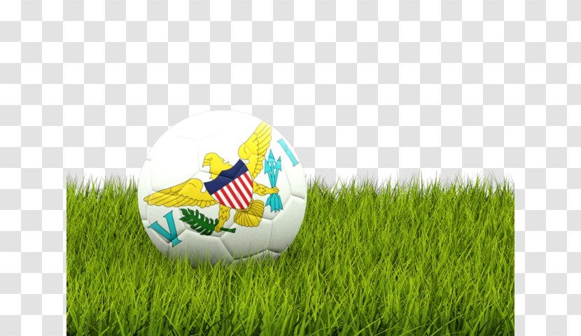 Football Pitch Team Sport Transparent PNG