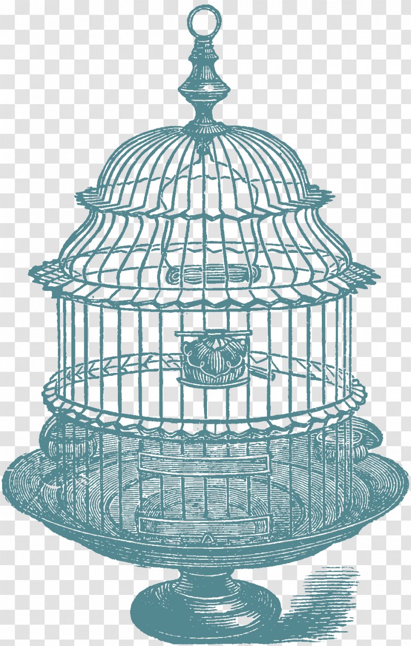 Birdcage Domestic Canary Clip Art - Vintage Clothing Transparent PNG