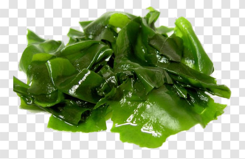 Japanese Cuisine Wakame Seaweed Kelp Miso Soup - Algae - Salad Transparent PNG