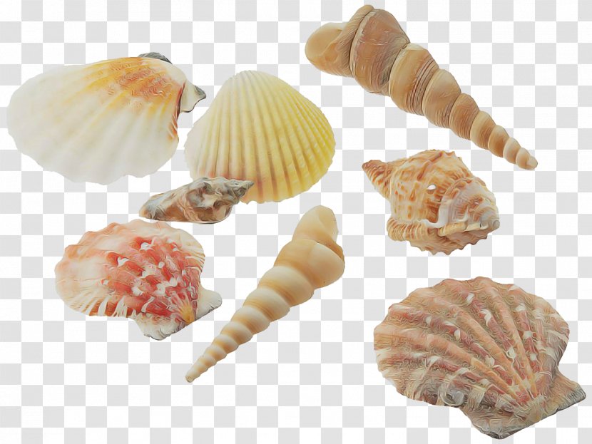 Shell Conchiglie Bivalve Conch Food - Scallop Dish Transparent PNG