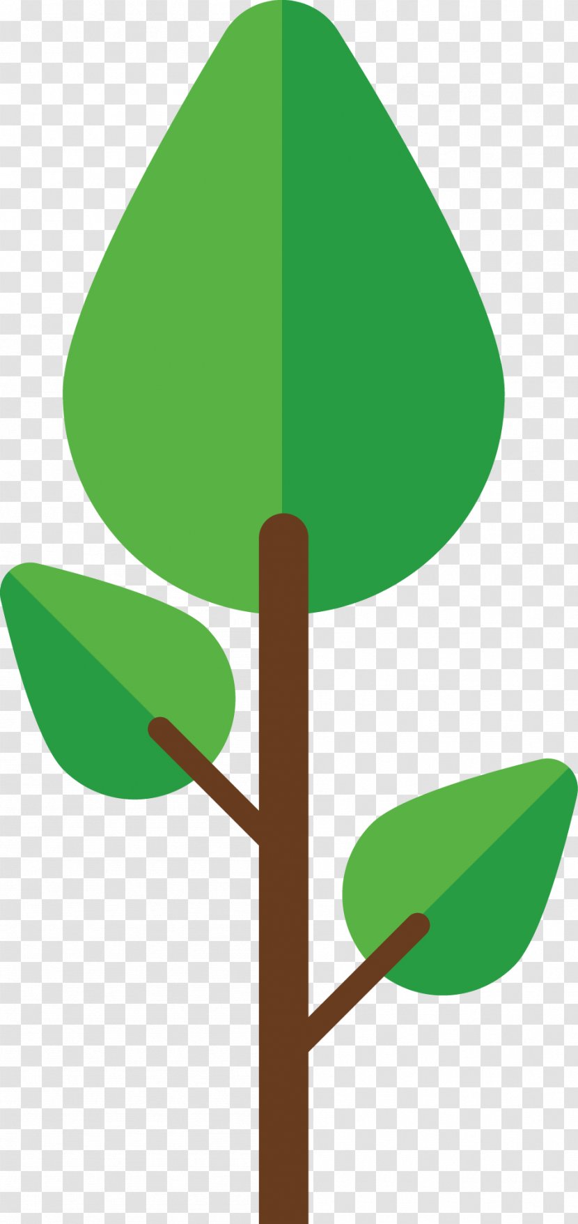 Green Flattened Trees - Grass - Plant Transparent PNG