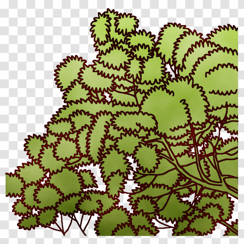 Leaf Flower Green Pattern Shrub Transparent PNG