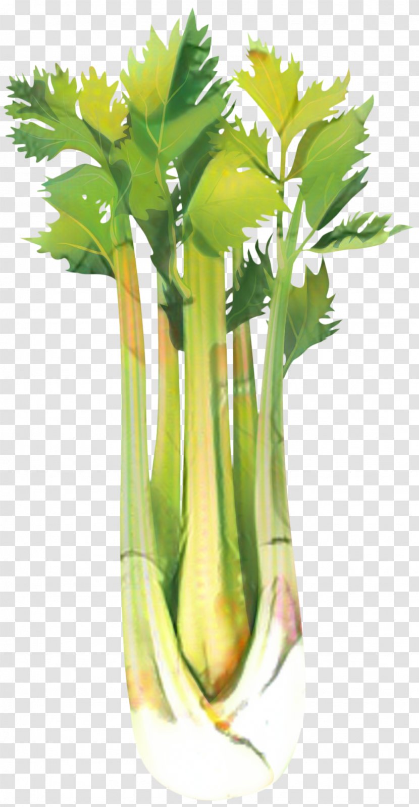 Flower Background - Celeriac - Nepenthes Leaf Vegetable Transparent PNG