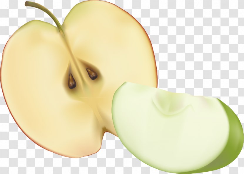 Granny Smith Apple Computer File - Plant - Material Transparent PNG