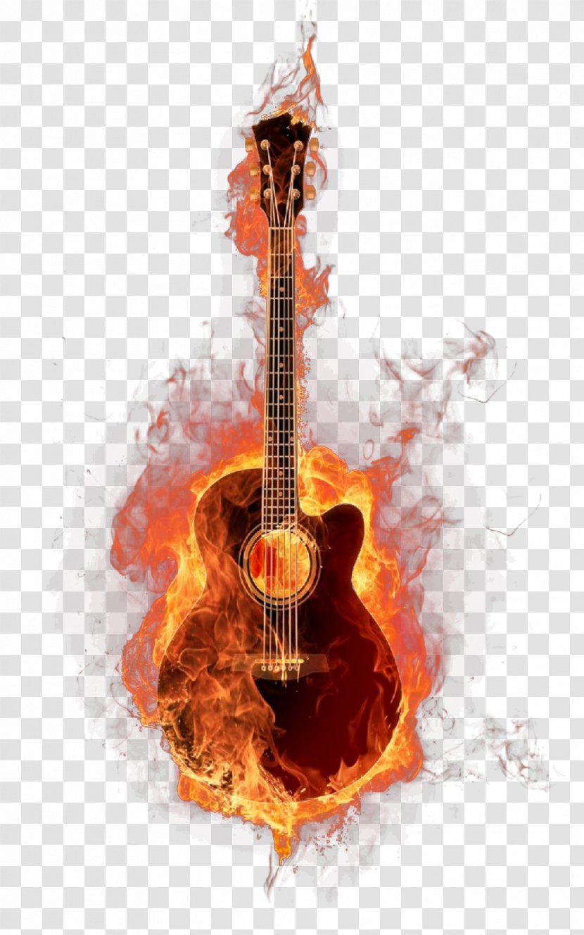 Acoustic Guitar Musical Instruments - Tree - Pictures Transparent PNG