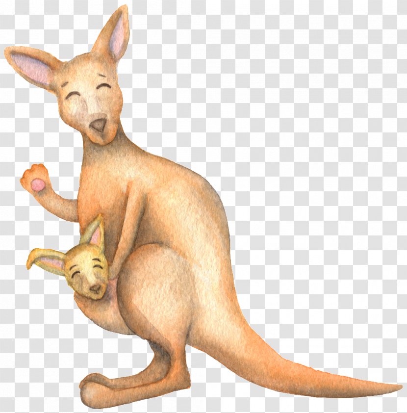 Kangaroo Cartoon Graphic Design - Cat Like Mammal - Cute Smiling Image Transparent PNG