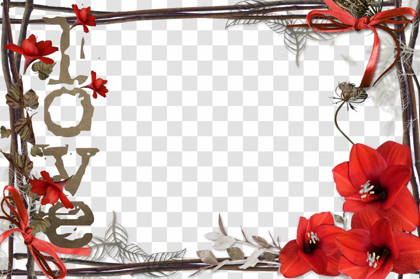 Picture Frame Film Photography - Red - Mood Pictures Transparent PNG