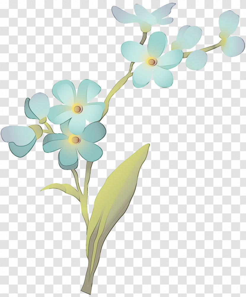 Flower Plant Petal Flowering Clip Art - Moth Orchid - Wildflower Stem Transparent PNG