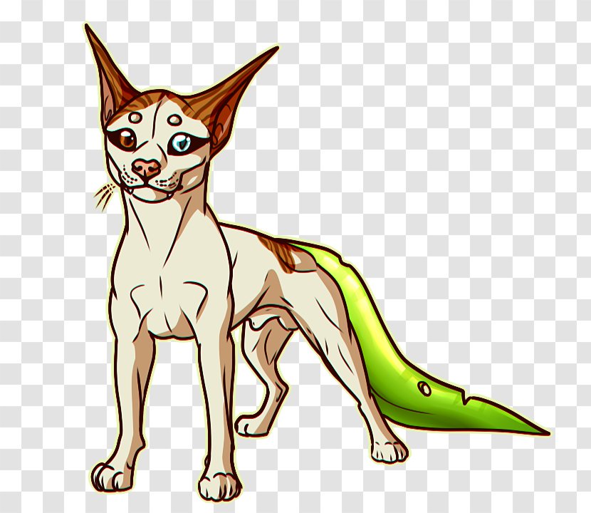 Whiskers Red Fox Cat Dog Clip Art - Carnivoran Transparent PNG