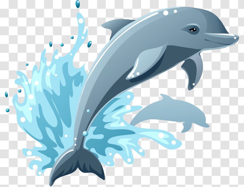 Cartoon Drawing Dolphin Clip Art - Whale - Aquarium Transparent PNG