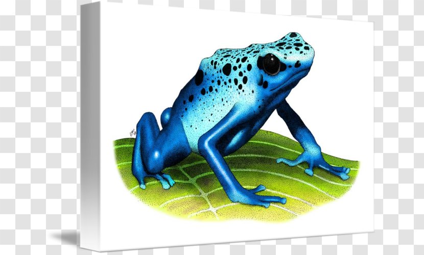 True Frog Tree Toad Blue Poison Dart - Electric Transparent PNG