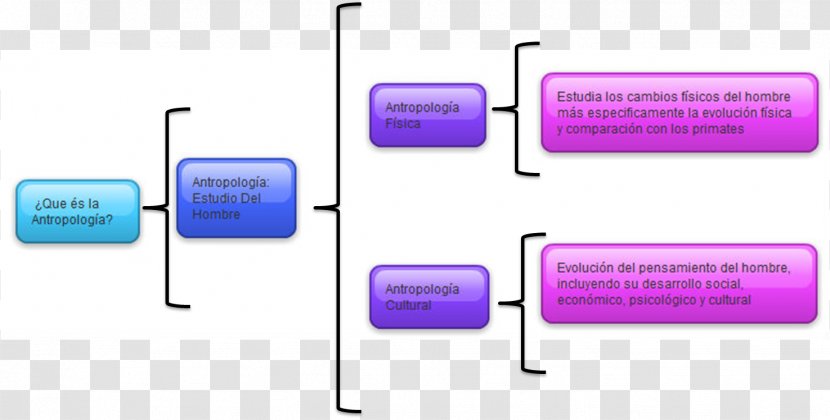 Anthropology Cuadro Sinóptico Technology Purple - 17 Winchester Super Magnum Transparent PNG