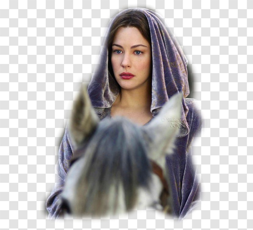 Liv Tyler Arwen The Lord Of Rings: Fellowship Ring Battle For Middle-earth - Flower Transparent PNG
