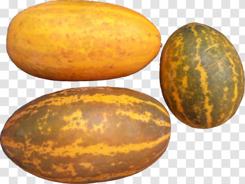 Kerala Cucumber Muskmelon Vegetable - Gourd Transparent PNG