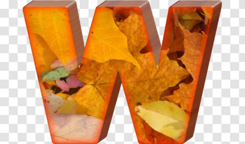 Letter Alphabet Information Autumn W - Map Transparent PNG