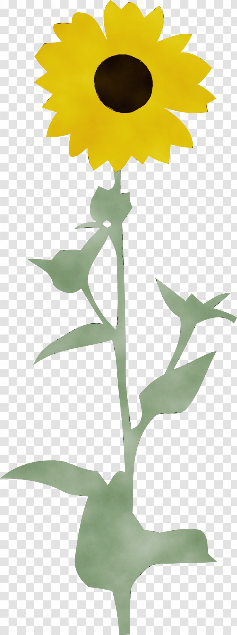 Floral Design Transparent PNG