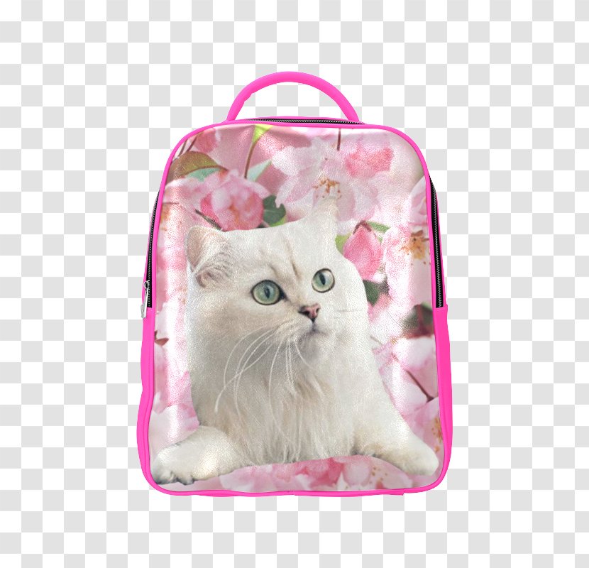 Whiskers Kitten Domestic Short-haired Cat High-top Transparent PNG