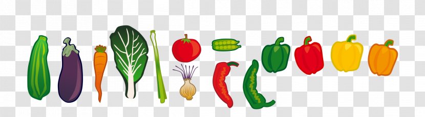 Veggie Burger Vegetable Clip Art - Chinese Cabbage - Vegetables Transparent PNG