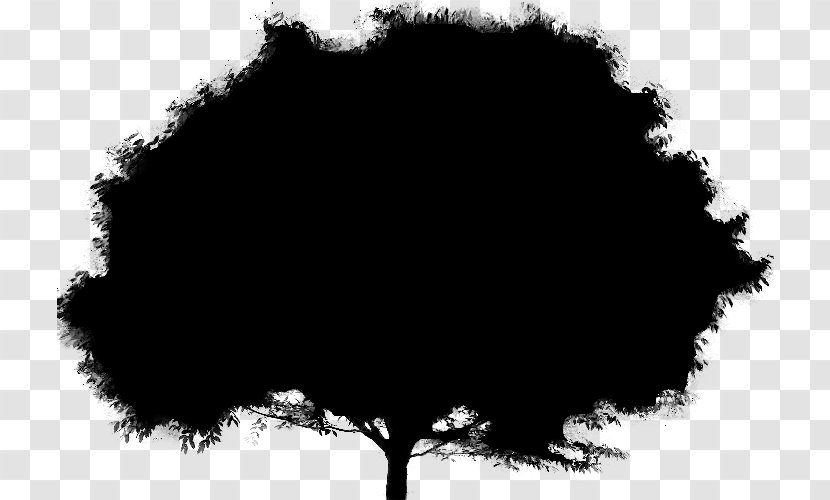Tree Black & White - Sky - M Silhouette Leaf Transparent PNG