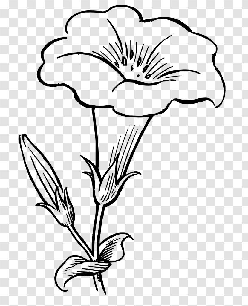 Flower Plant Petal Line Art Black-and-white - Pedicel - Wildflower Stem Transparent PNG