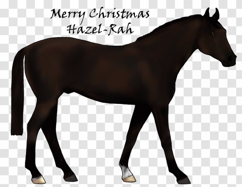 Mustang Stallion Foal Colt Mare - Animal Figure Transparent PNG