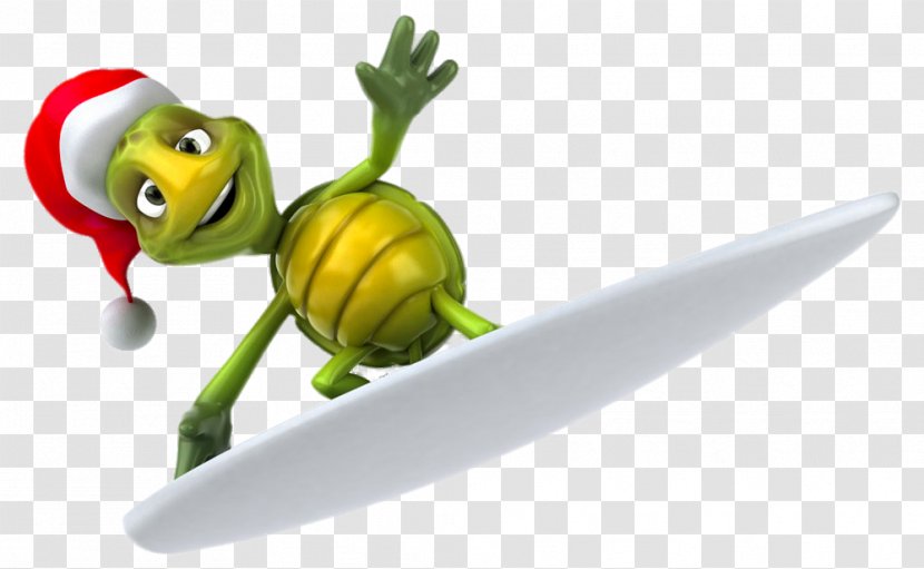 Turtle Skateboarding Royalty-free Clip Art - Stock Photography Transparent PNG