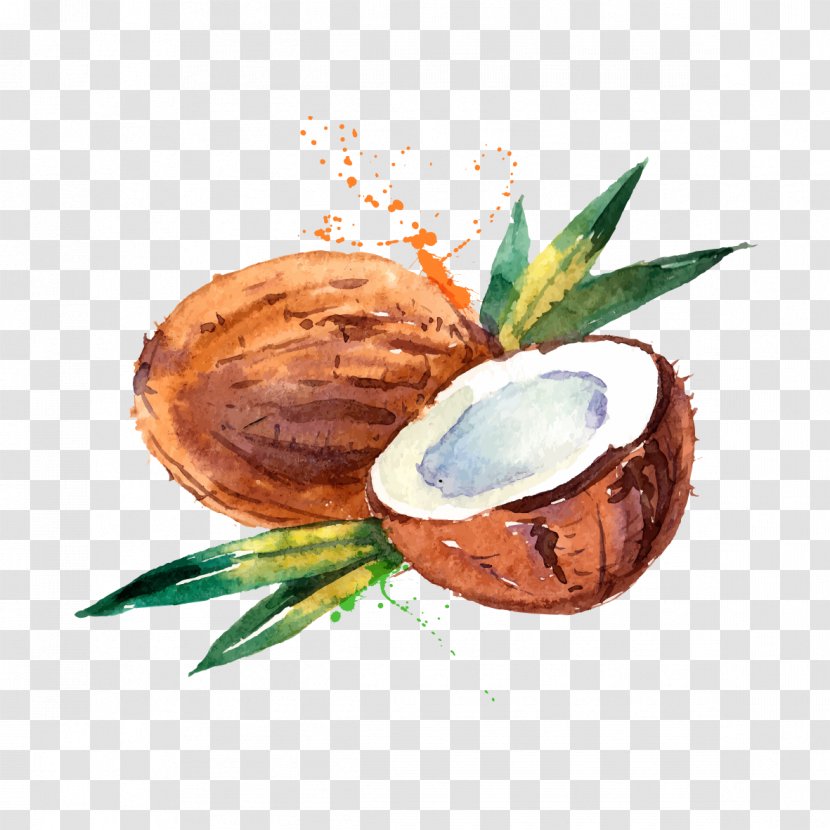 Coconut Water Milk Watercolor Painting - Drawing - Hand-painted Transparent PNG