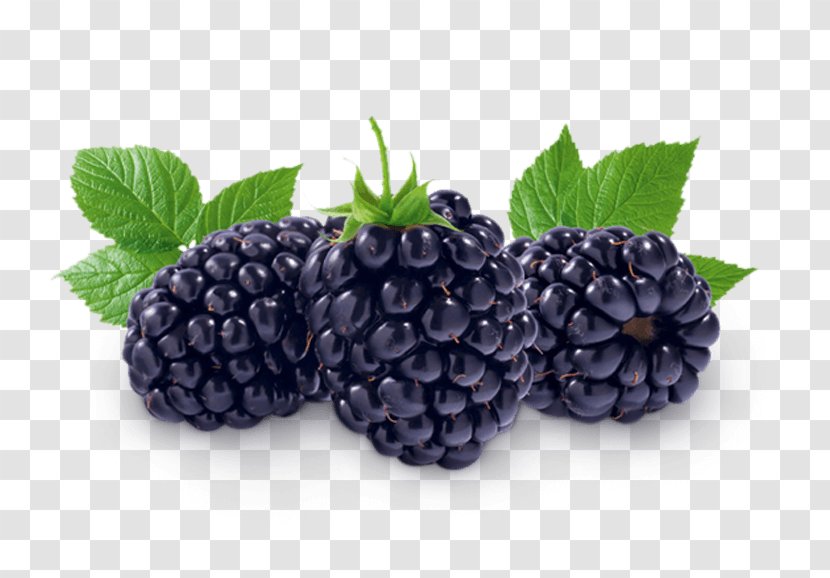 Boysenberry Fruit Dewberry Auglis - Grape - Blueberry Transparent PNG