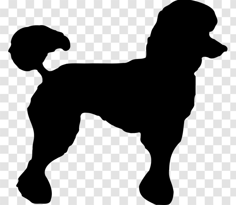Toy Poodle Standard Miniature Clip Art - Dog Grooming Transparent PNG