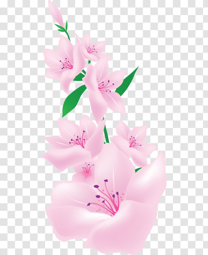 Painting Pink Flowers Floral Design Clip Art - Watercolor Transparent PNG