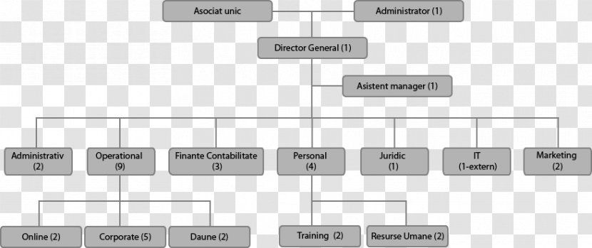 Company Organizational Chart Management Consulting Cargo Transport - Grams Transparent PNG
